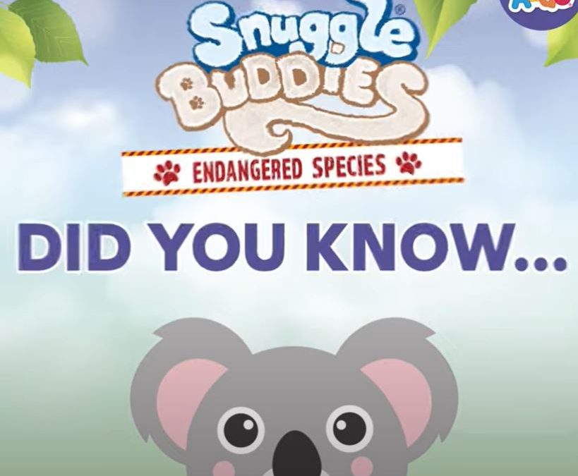 Video 2 – Snuggle Buddies